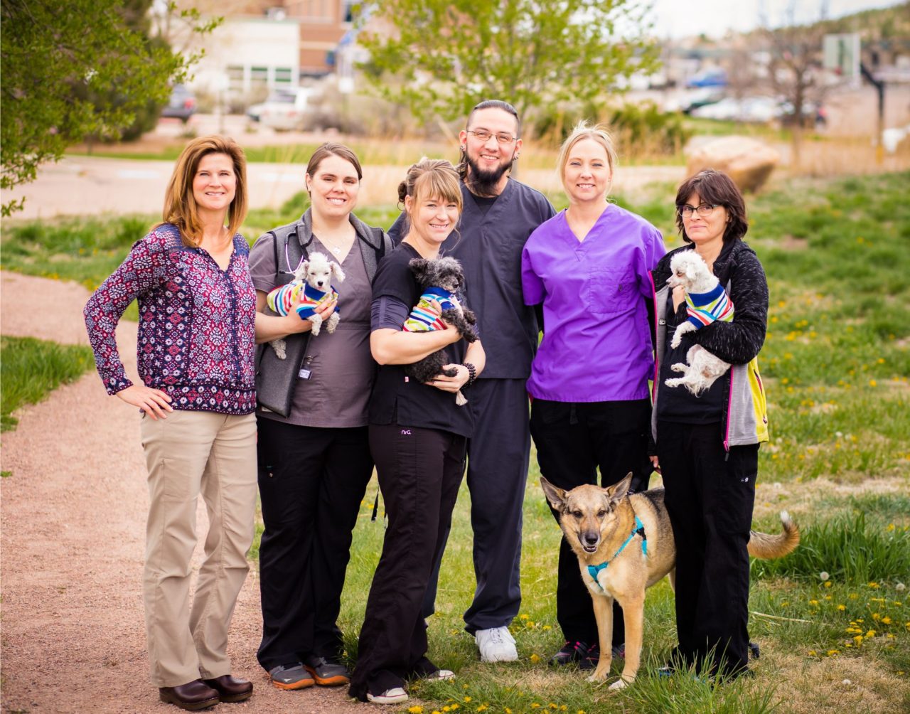 About Mountain View Veterinary Surgery Colorado Springs, CO 80918