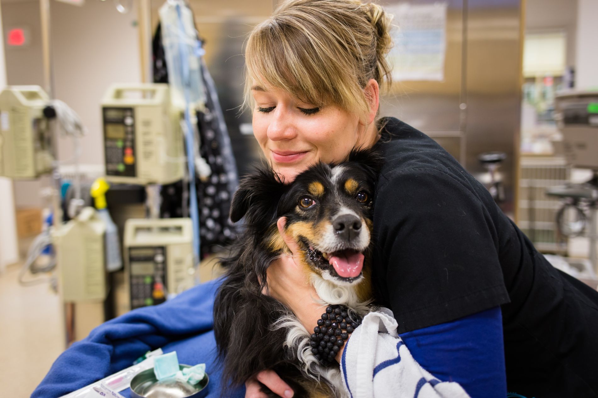 About Mountain View Veterinary Surgery | Colorado Springs, CO 80918