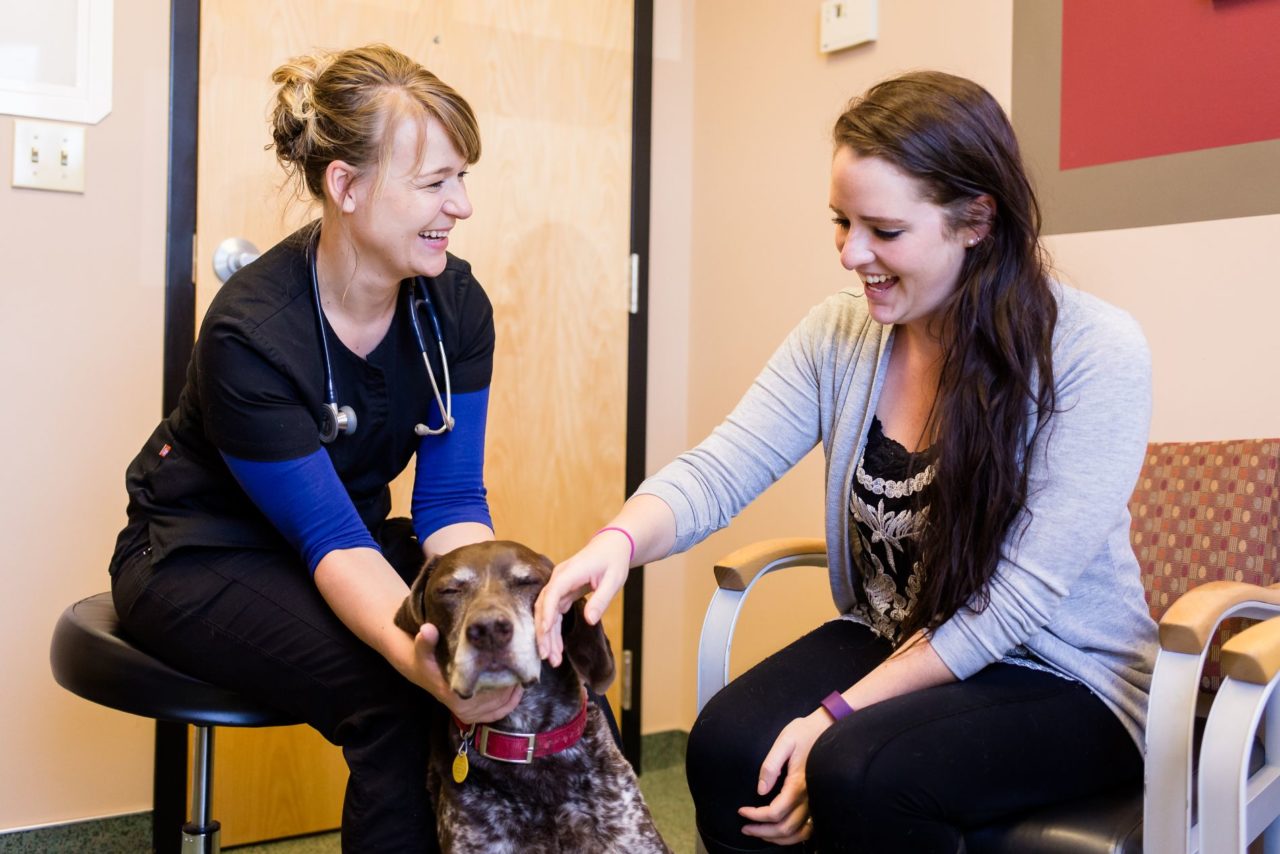 New Client Success Mountain View Veterinary Surgery